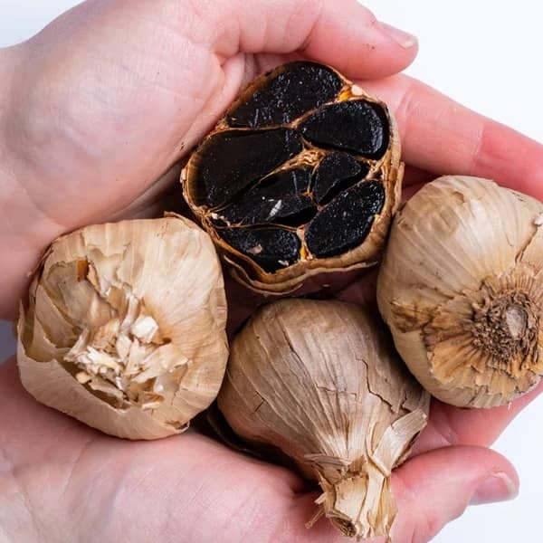 سیر سیاه بیز — تصویر ۲