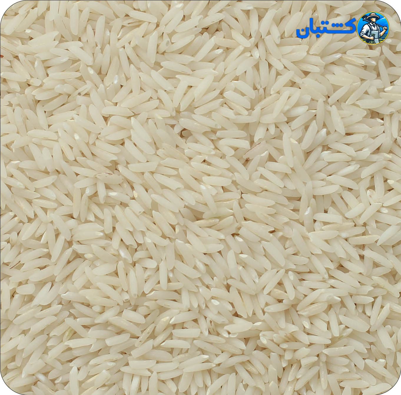برنج هاشمی درجه یک 10kg (پیشنهادی) — تصویر ۴