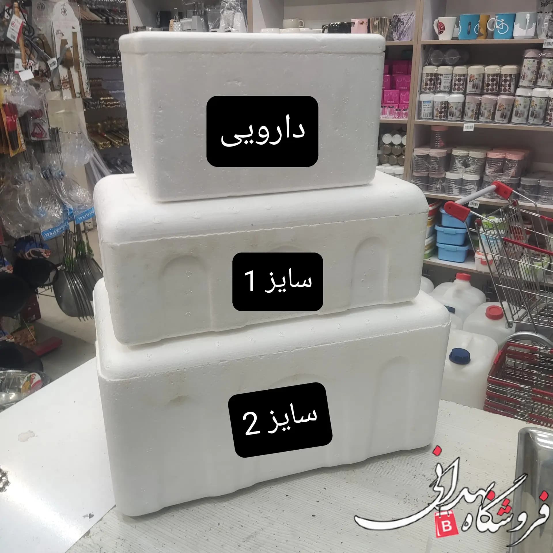 یخدان یونولیتی دارویی (آکاسیف) گلچین — تصویر ۲