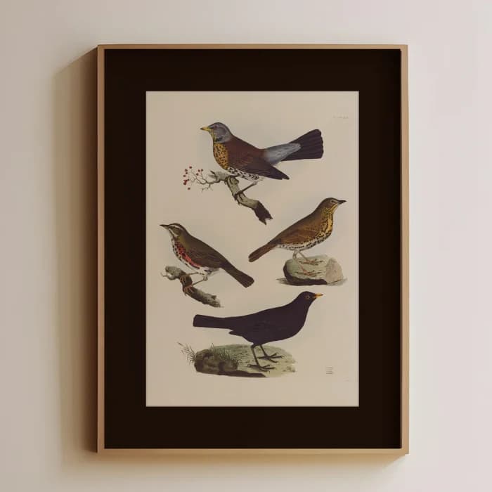 پوستر و تابلو وینتیج طرح Birds