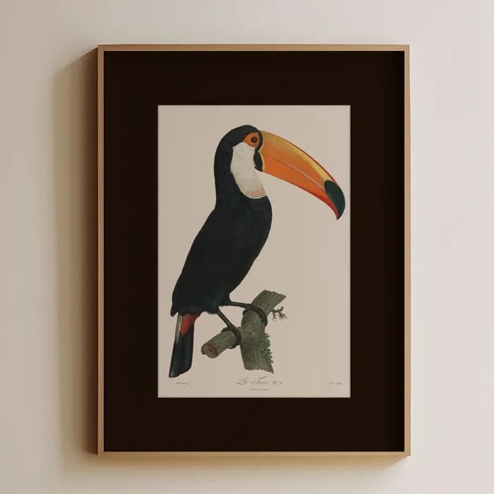 پوستر و تابلو وینتیج طرح Toucan