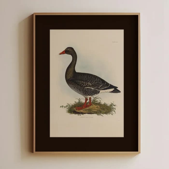 پوستر و تابلو وینتیج طرح Wild Goose