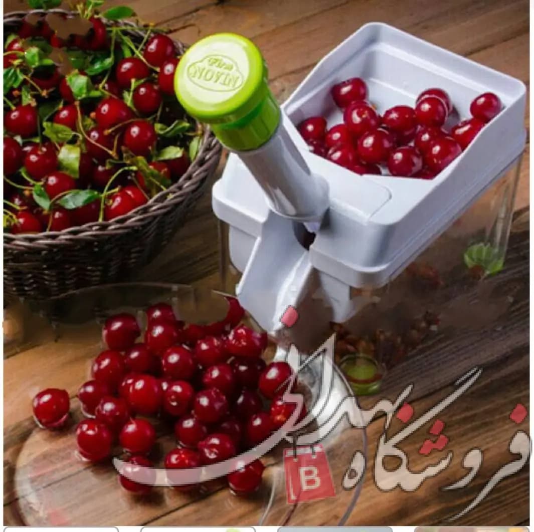 هسته گیر گیلاس و آلبالو
