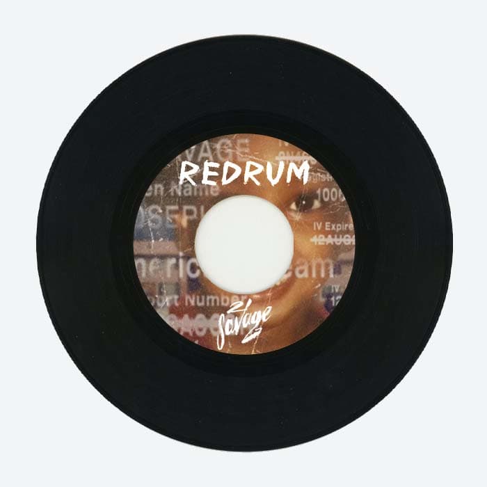 صفحه گرامافون دکوری 21 Savage – Redrum
