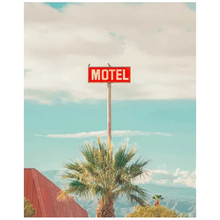 پوستر و تابلو وینتیج طرح This Motel is for the Birds