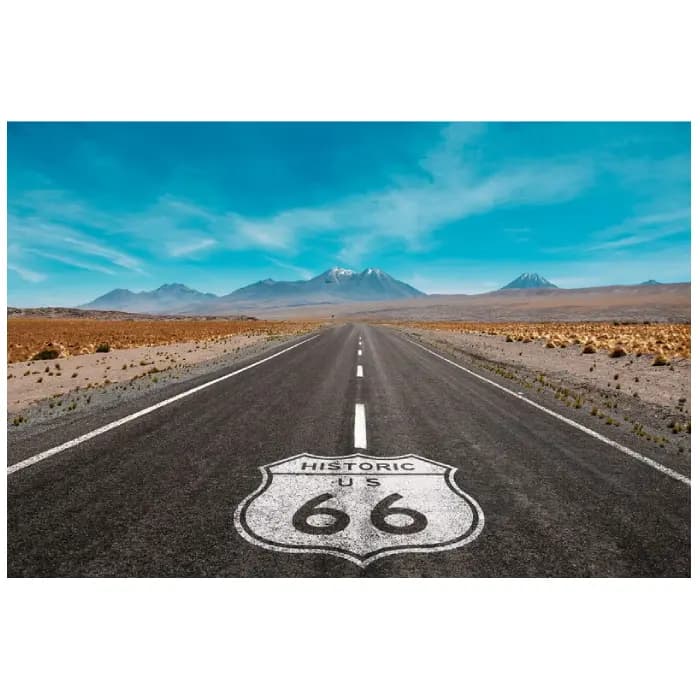 پوستر و تابلو وینتیج طرح Freedom 66