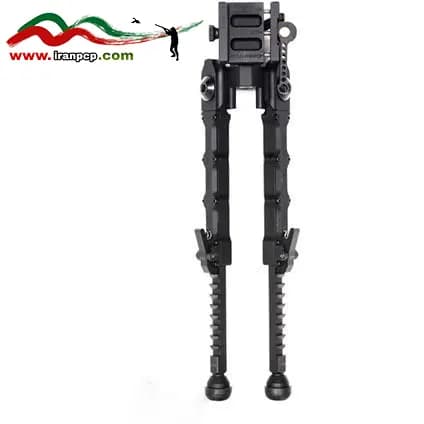 دوپایه اکوتیک عنکبوتی — تصویر ۲