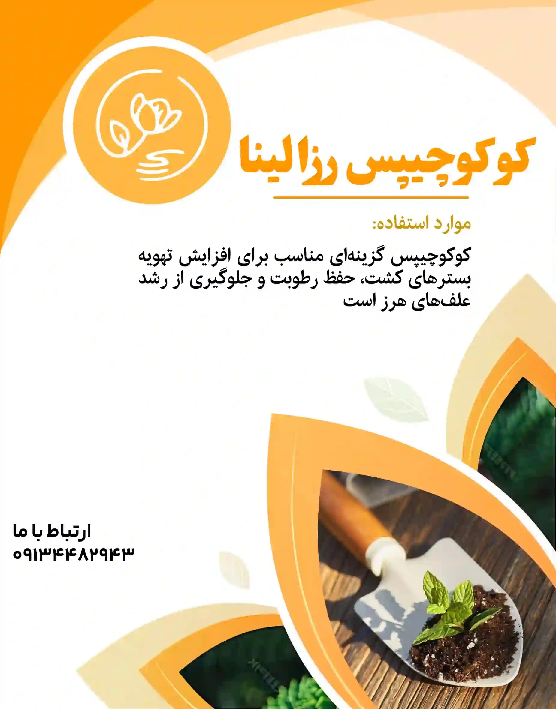 کوکوچیپس رزالینا — تصویر ۲