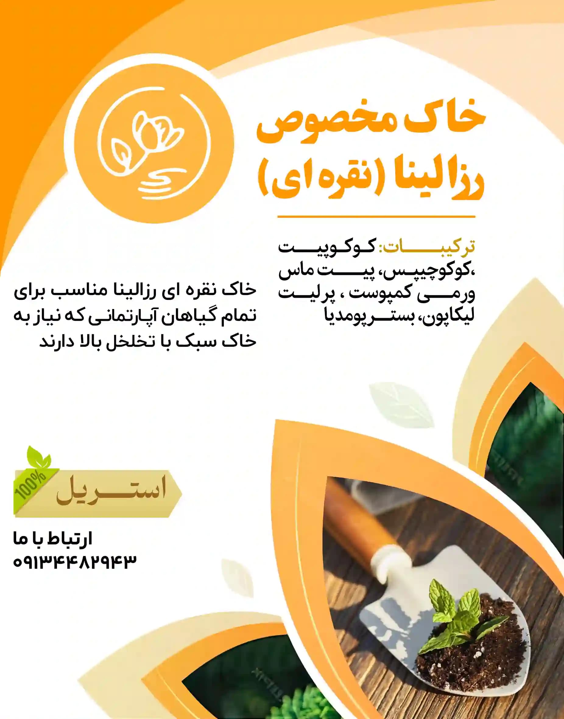 خاک مخصوص رزالینا (نقره‌ای) — تصویر ۲