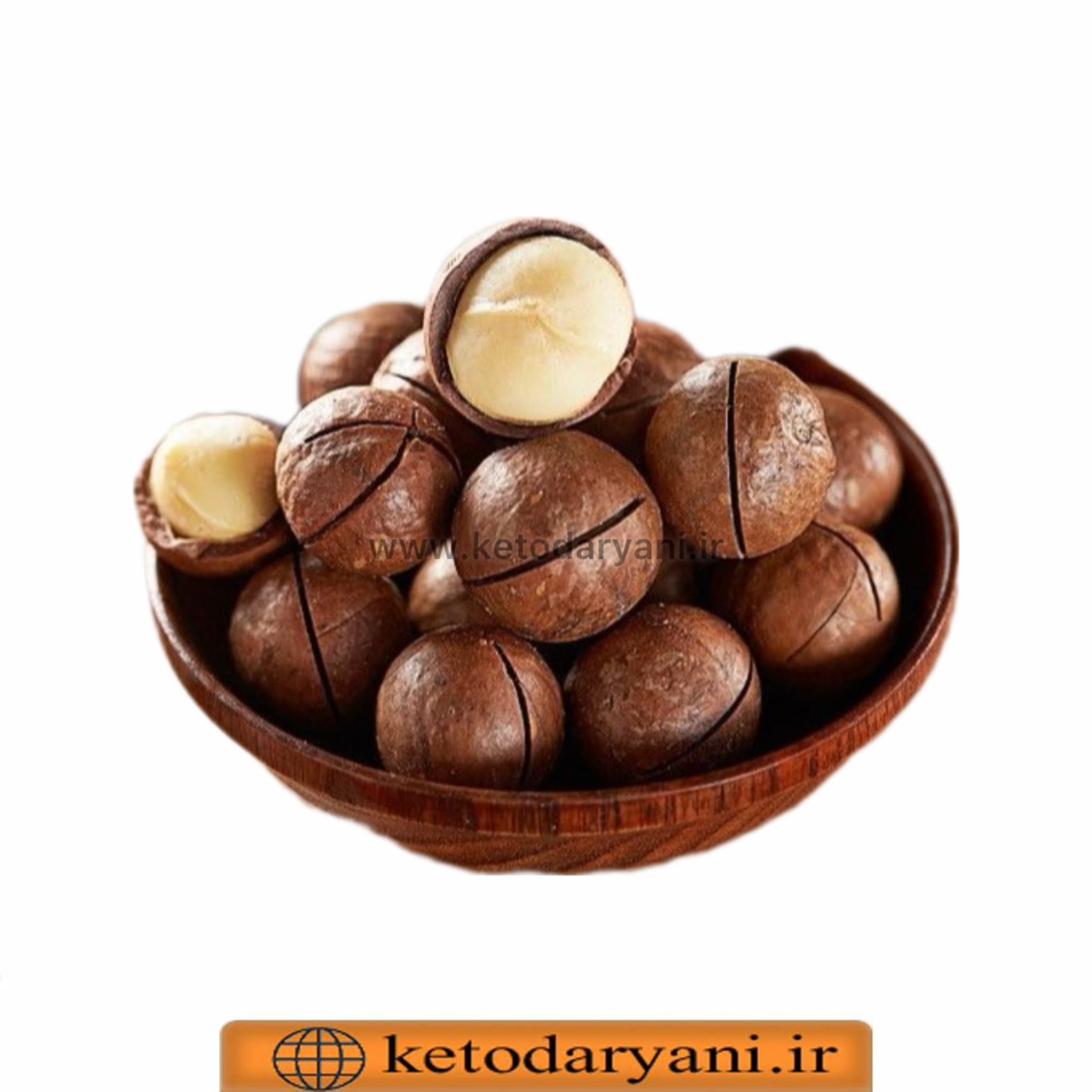 ماکادمیا فندق استرالیایی ۵۰۰ گرمی