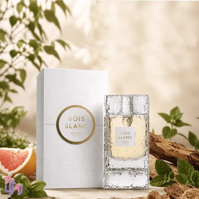عطر ادکلن عربیات پرستیژ Arabiyat Prestige مدل بویس بلانک Bois Blanc ادو پرفیوم 100 میلی‌لیتر — تصویر ۶