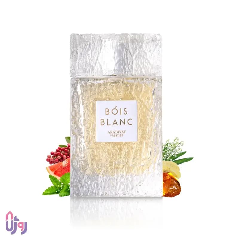 عطر ادکلن عربیات پرستیژ Arabiyat Prestige مدل بویس بلانک Bois Blanc ادو پرفیوم 100 میلی‌لیتر — تصویر ۵