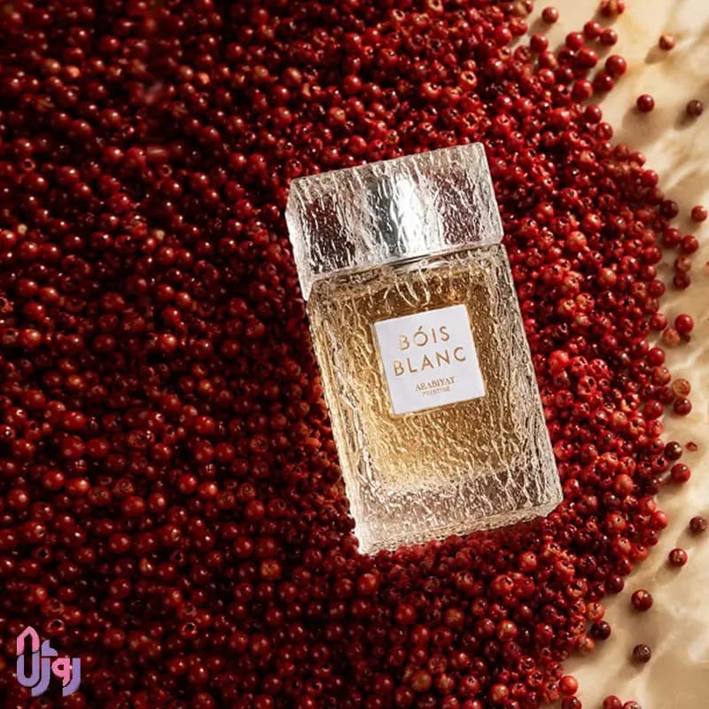 عطر ادکلن عربیات پرستیژ Arabiyat Prestige مدل بویس بلانک Bois Blanc ادو پرفیوم 100 میلی‌لیتر — تصویر ۳