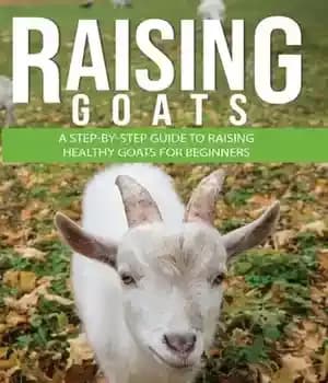 دانلود کتاب Raising Goats: A Step-by-Step Guide to Raising Healthy Goats for Beginners – پرورش بز: راهنمای گام به گام…