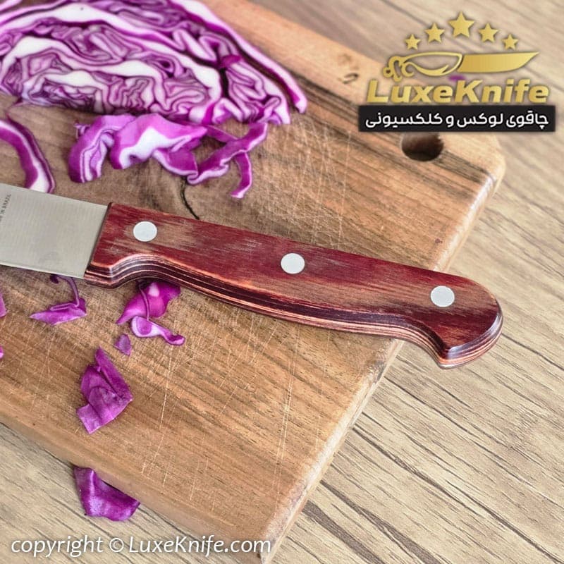 چاقوی مخصوص شف ترامونتیا برزیل ( مخصوص فیله بری و راسته بری ) — تصویر ۳