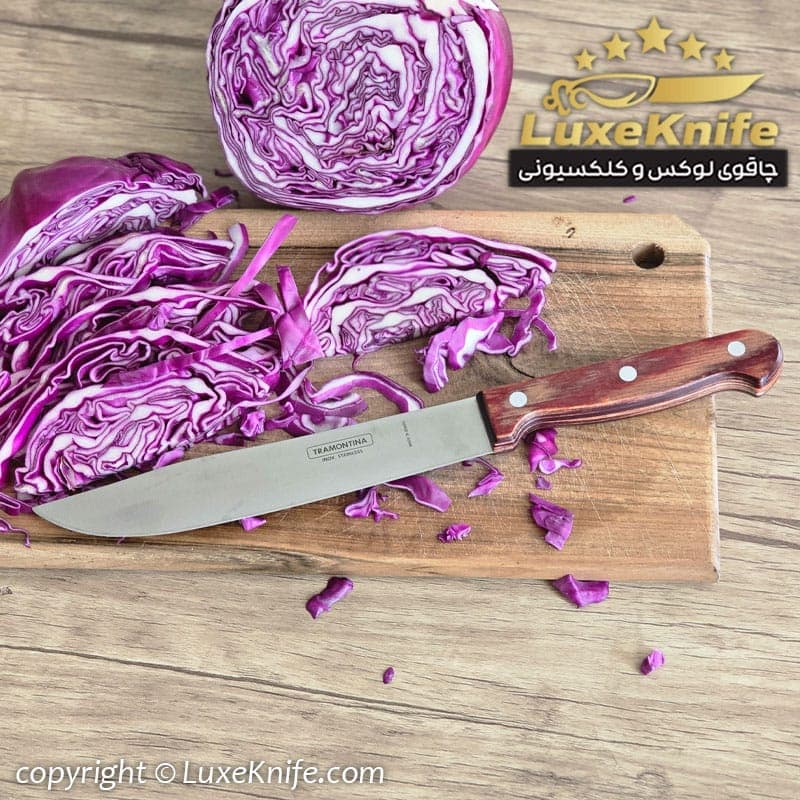 چاقوی مخصوص شف ترامونتیا برزیل ( مخصوص فیله بری و راسته بری ) — تصویر ۵