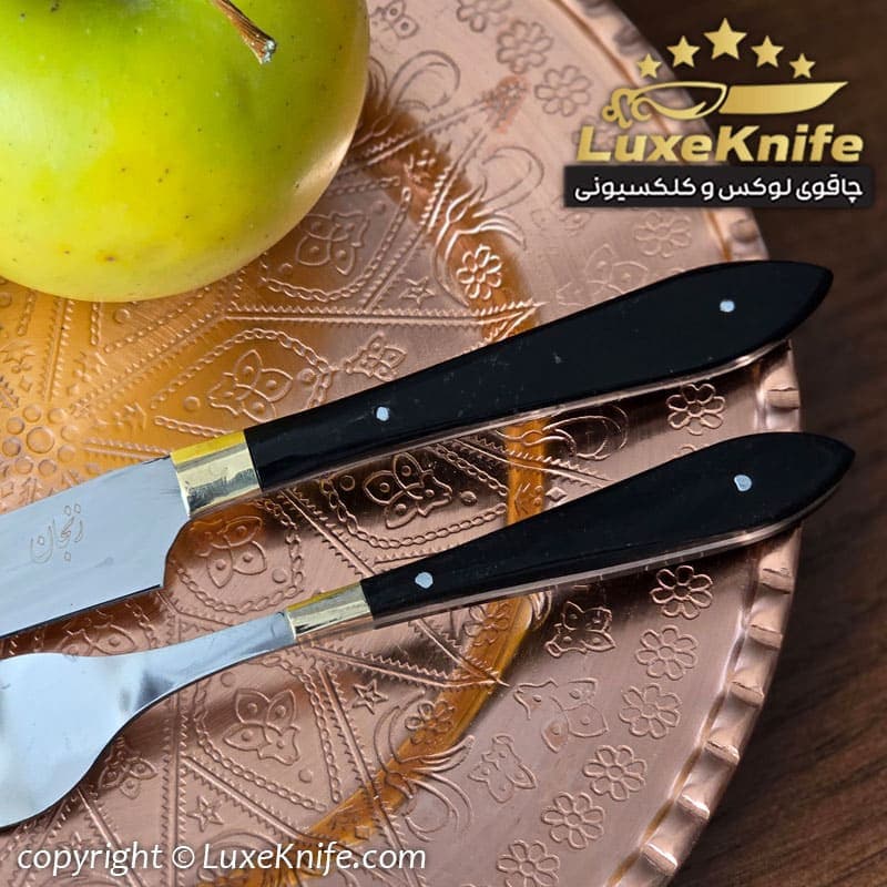 کارد و چنگال میوه خوری طرح سلین دسته رنگ سیاه — تصویر ۴