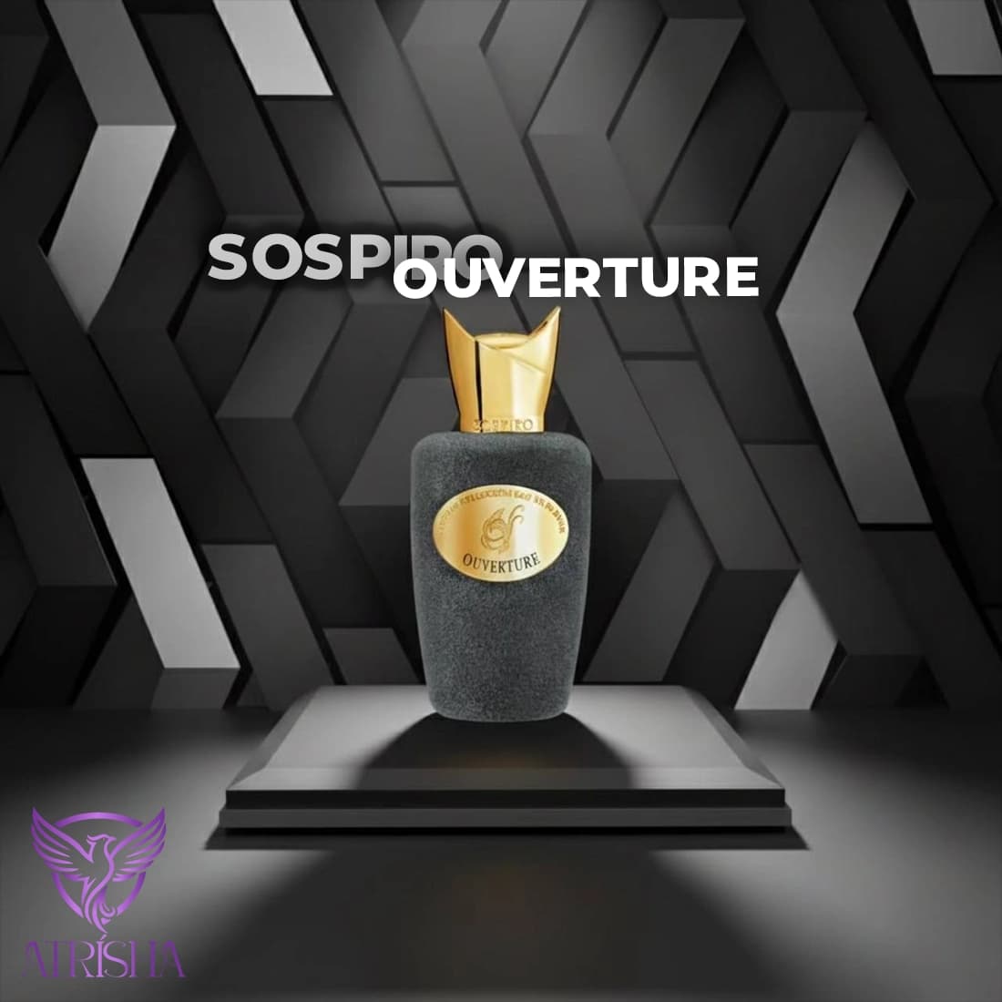 سوسپیرو اورچر (اورتور) | SOSPIRO OUVERTURE — تصویر ۲