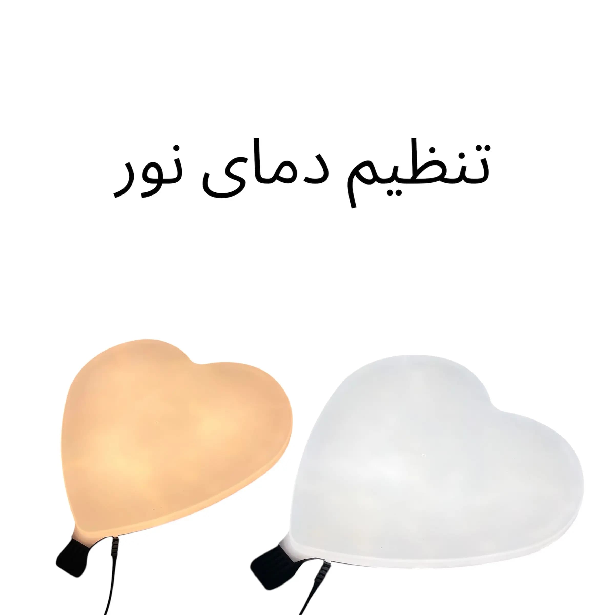 نور ثابت عکاسی مدل RL-500 به همراه پایه — تصویر ۶