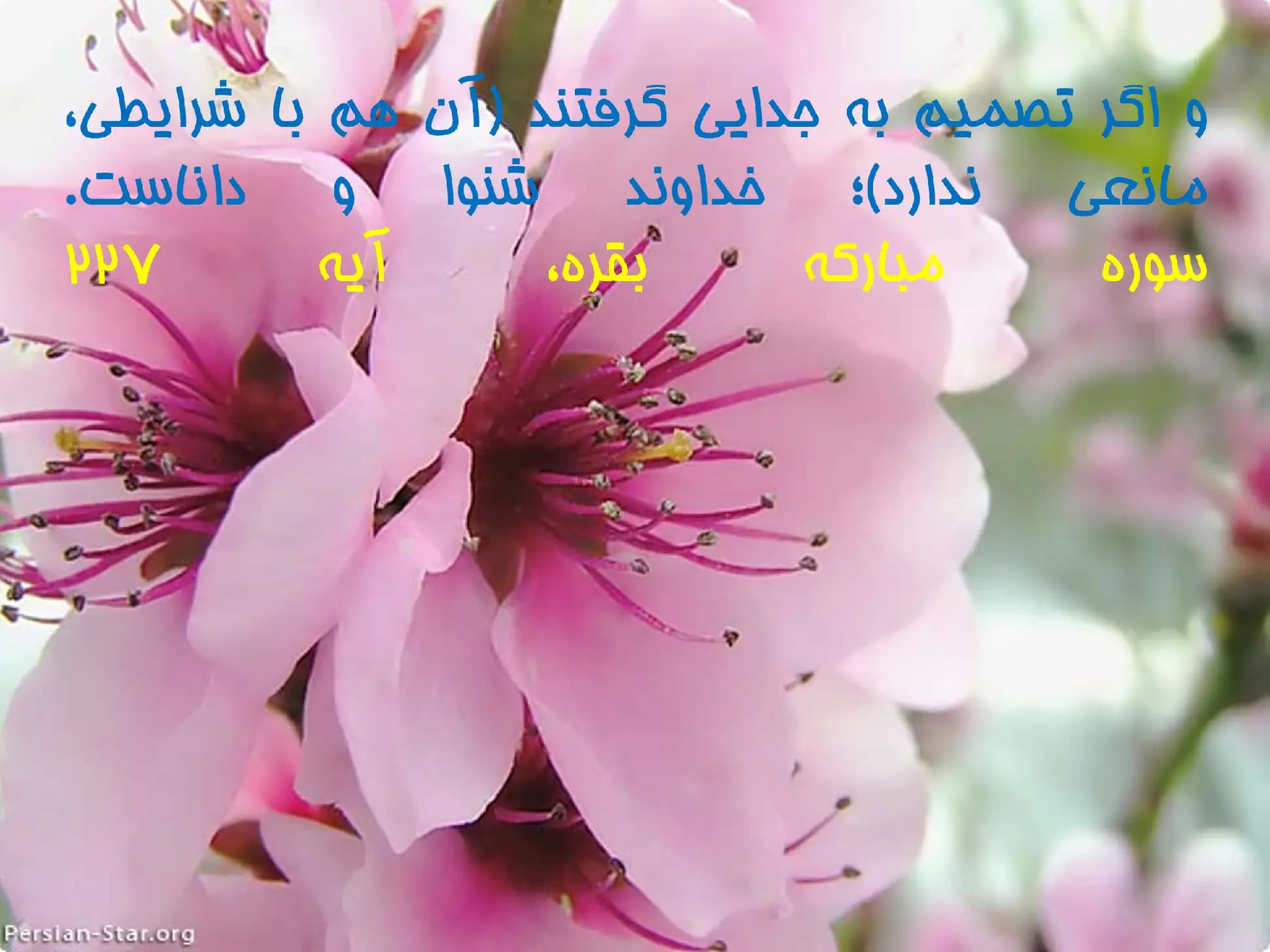 پاورپوینت فراوانی سنی طلاق، علل و پیامدها — تصویر ۴