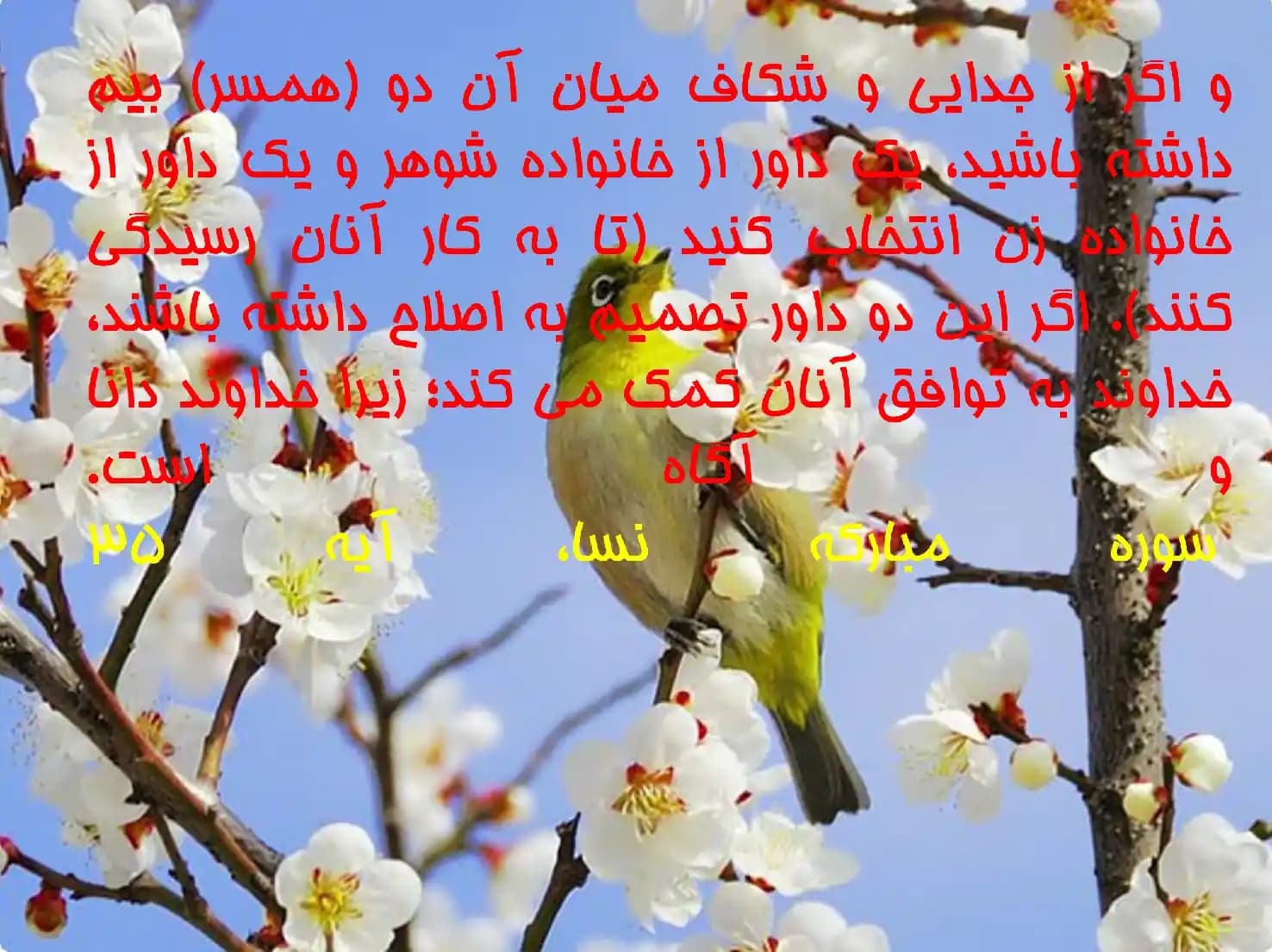 پاورپوینت فراوانی سنی طلاق، علل و پیامدها — تصویر ۳