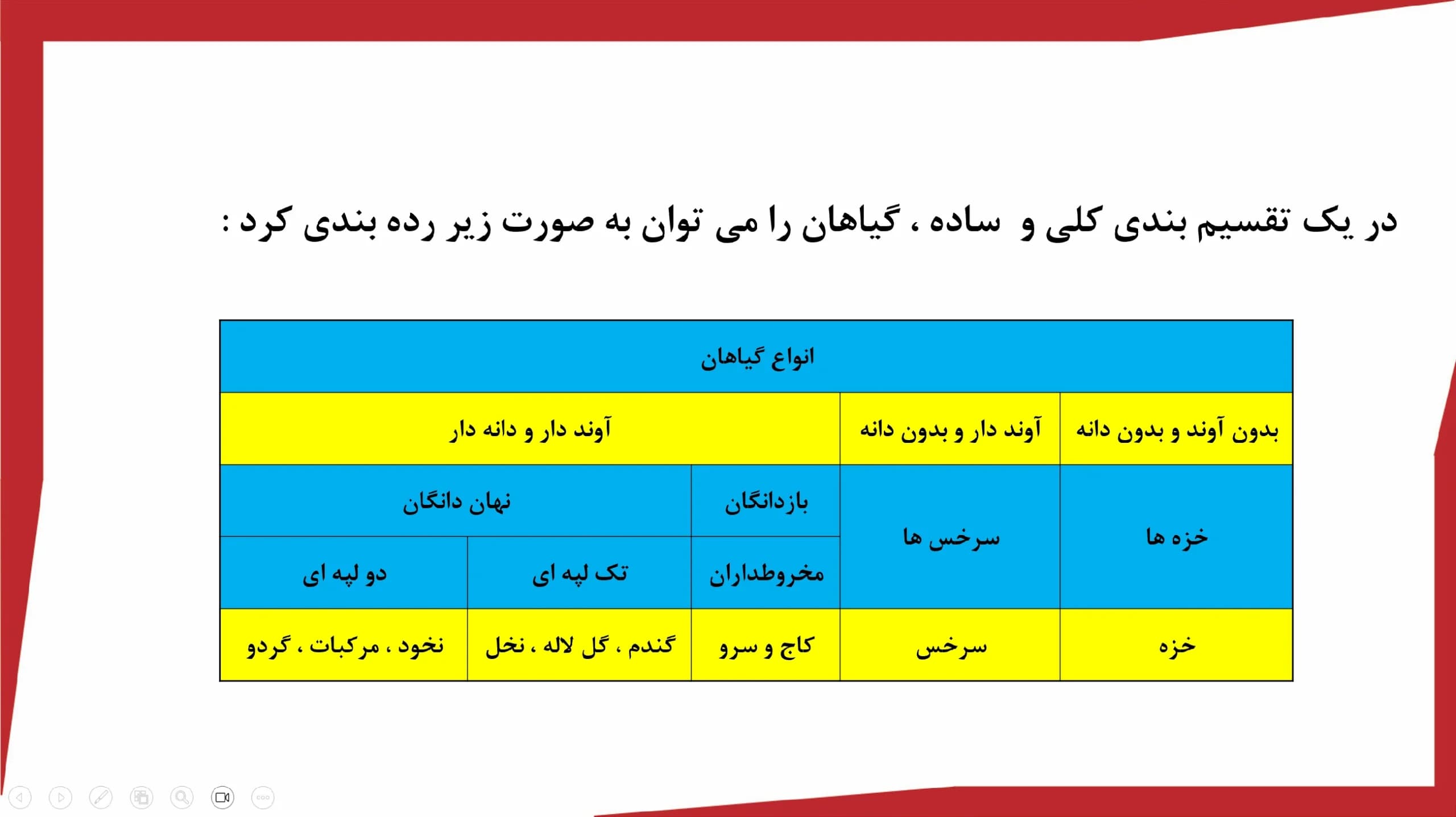 پاورپوینت (دنیای گیاهان) علوم نهم — تصویر ۲