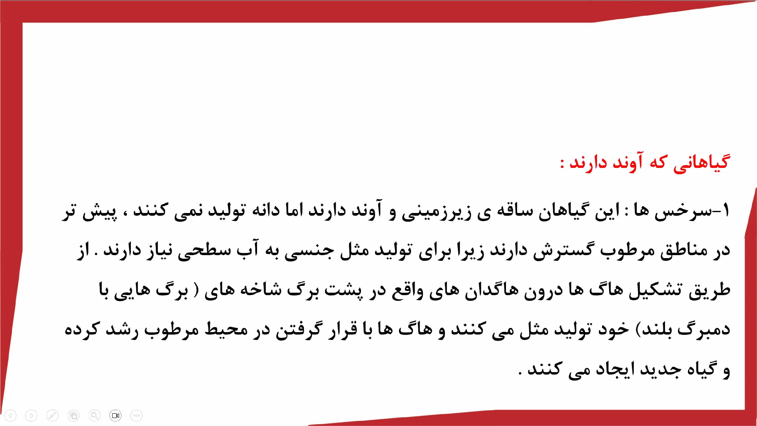 پاورپوینت (دنیای گیاهان) علوم نهم — تصویر ۵