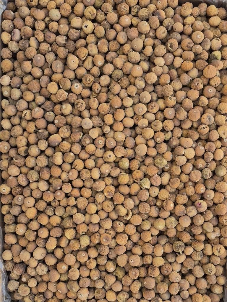 انجیر خشک سایز ریز رنگ تیره – کارتن 10 کیلویی