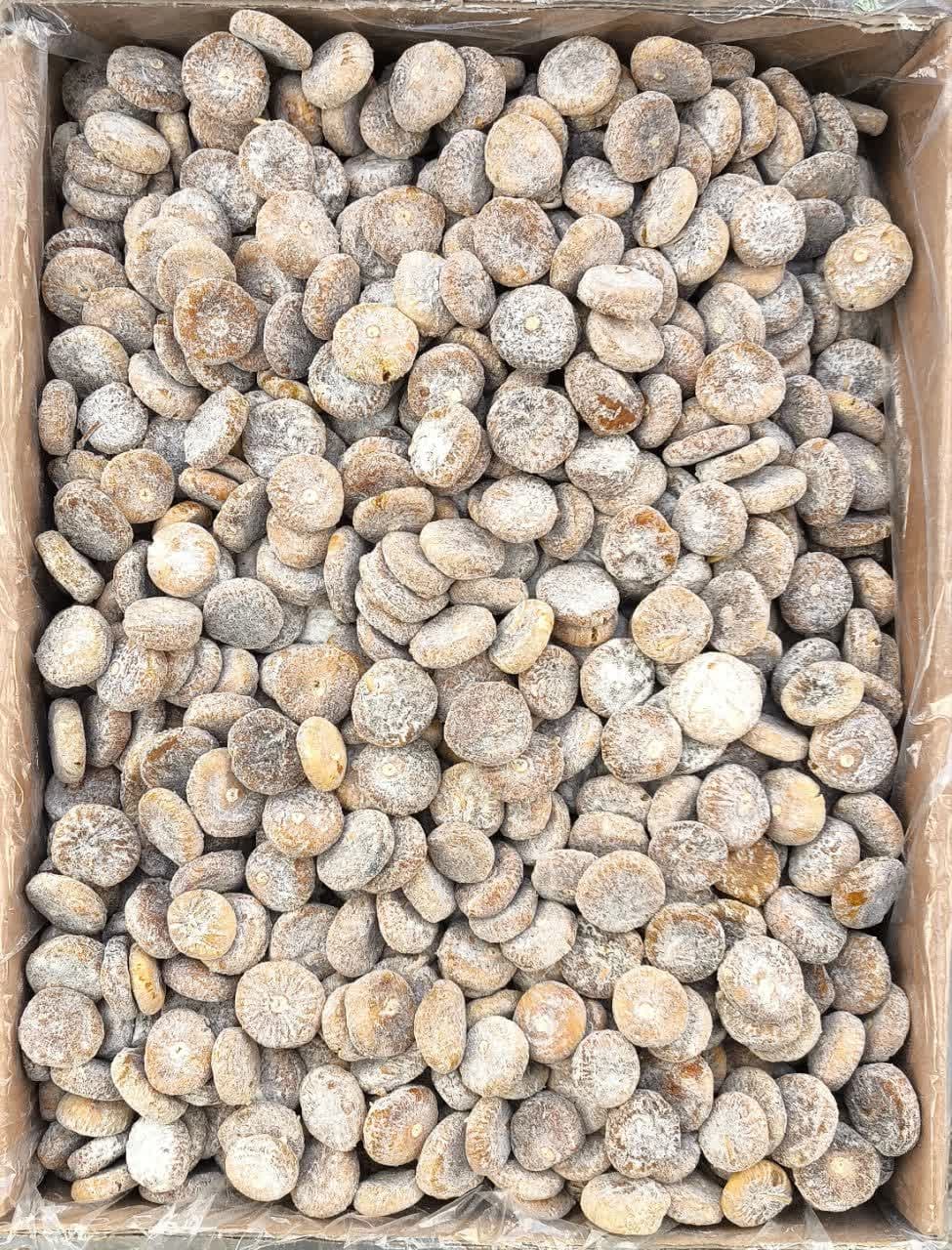 انجیر آردی سکه ای