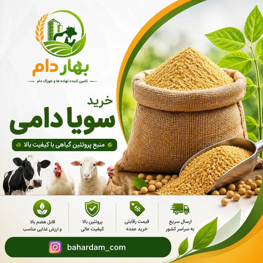 سویا دامی