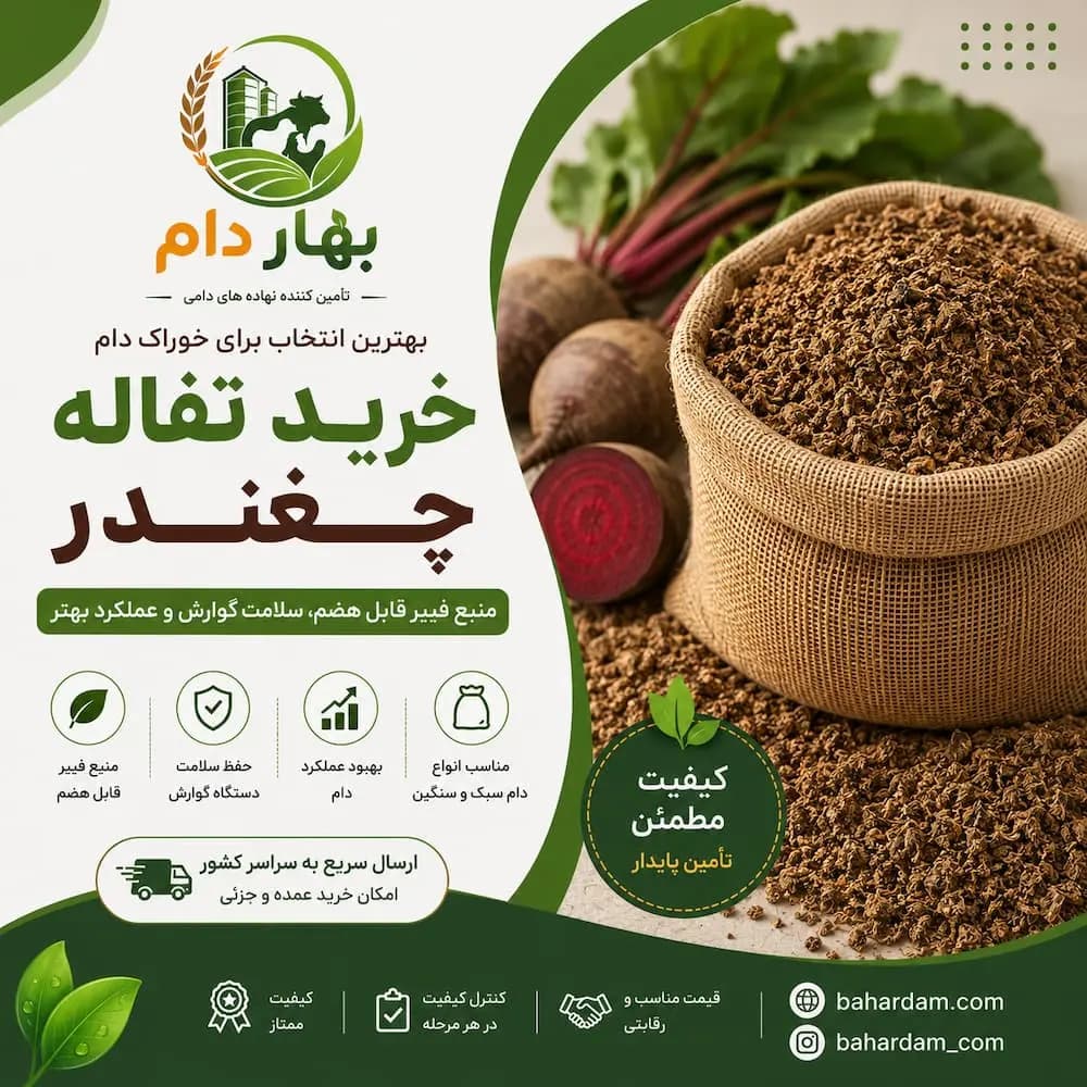 تفاله چغندر