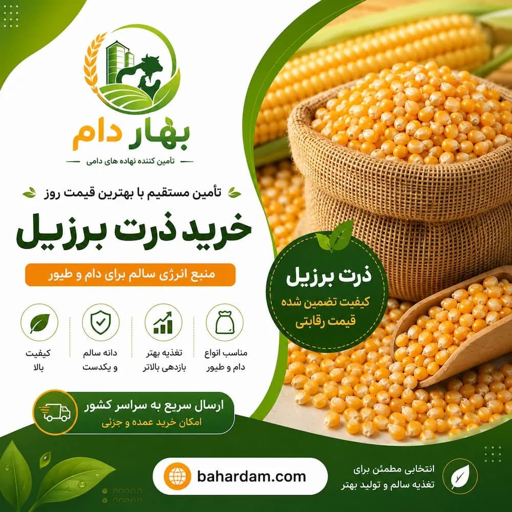 ذرت برزیل