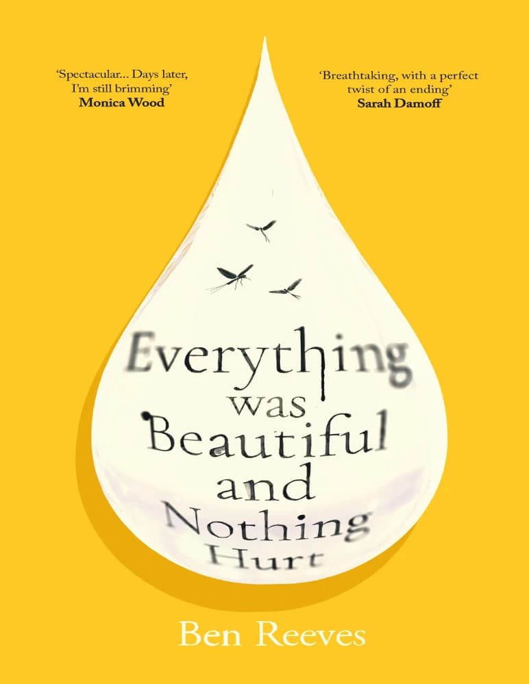کتاب همه چیز زیبا بود و هیچ چیز صدمه ندید (Everything was Beautiful and Nothing Hurt) نسخه انگلیسی PDF | بن ریوز
