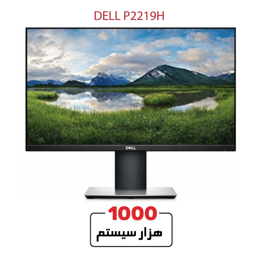 Dell Professional P2219H 22″