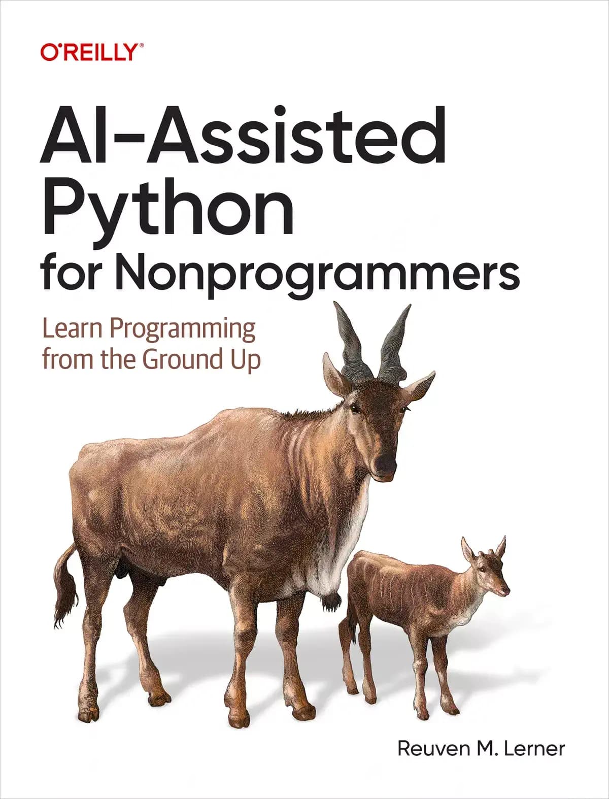 کتاب AI-Assisted Python for Nonprogrammers