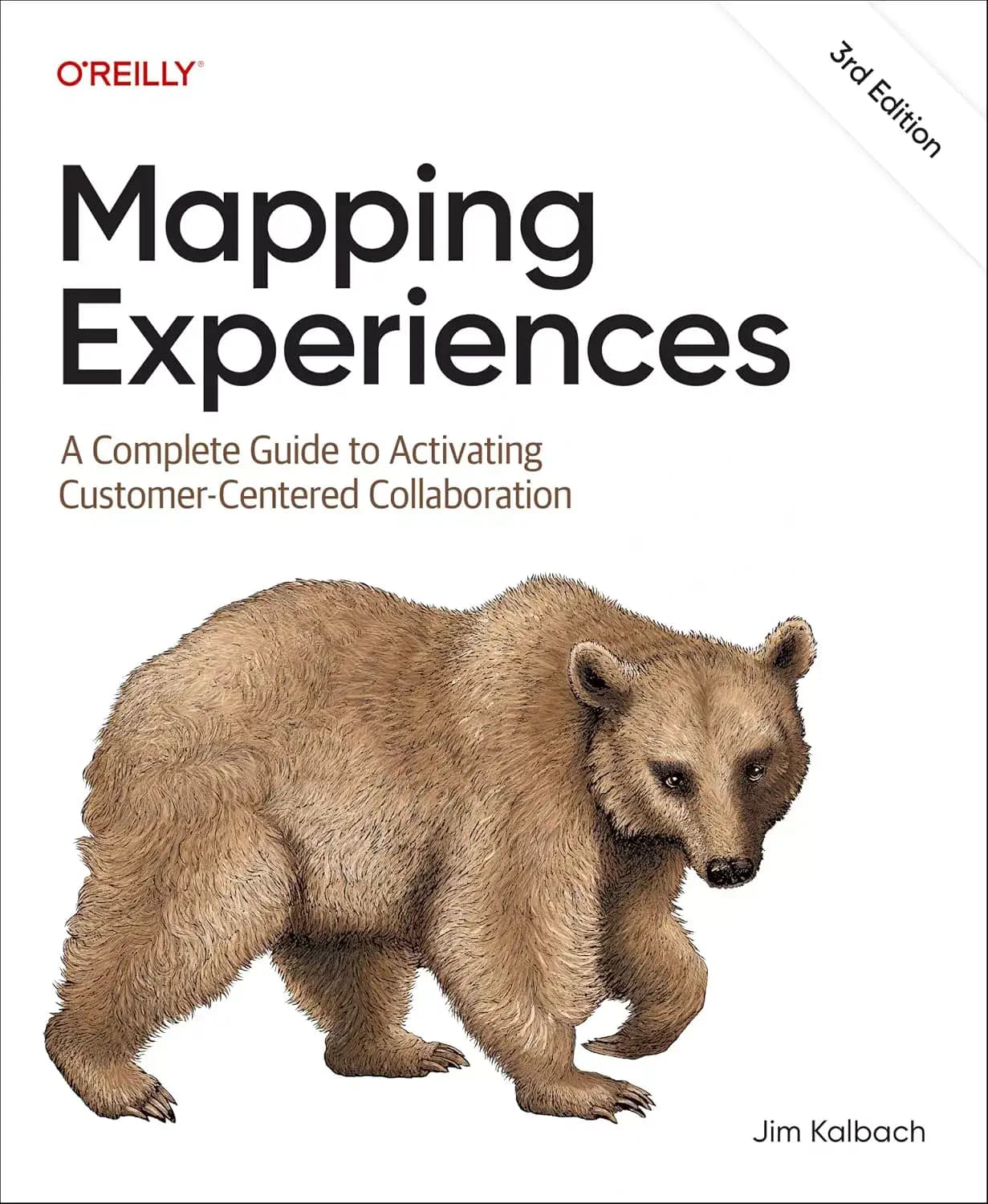 کتاب Mapping Experiences