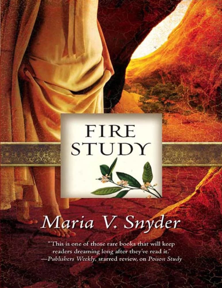 کتاب مطالعه آتش (Fire Study) نسخه انگلیسی PDF | ماریا وی. اسنایدر