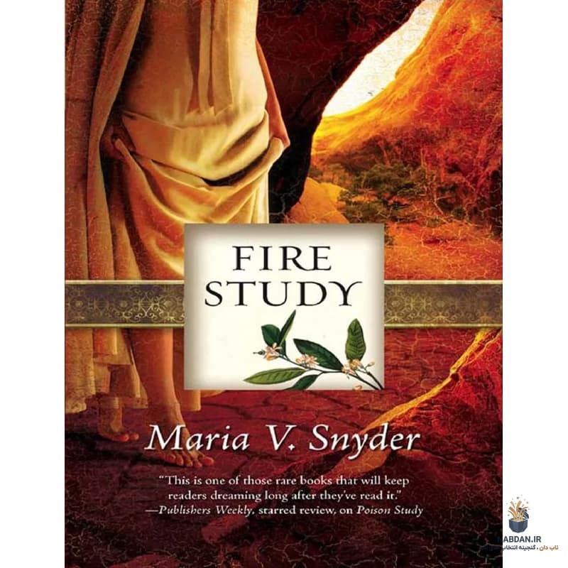 کتاب مطالعه آتش (Fire Study) نسخه انگلیسی PDF | ماریا وی. اسنایدر — تصویر ۲