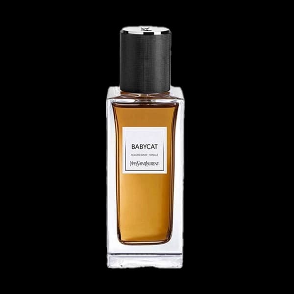 عطر ایو سن لورن بیبی کت عطریانی ۵۰ میل