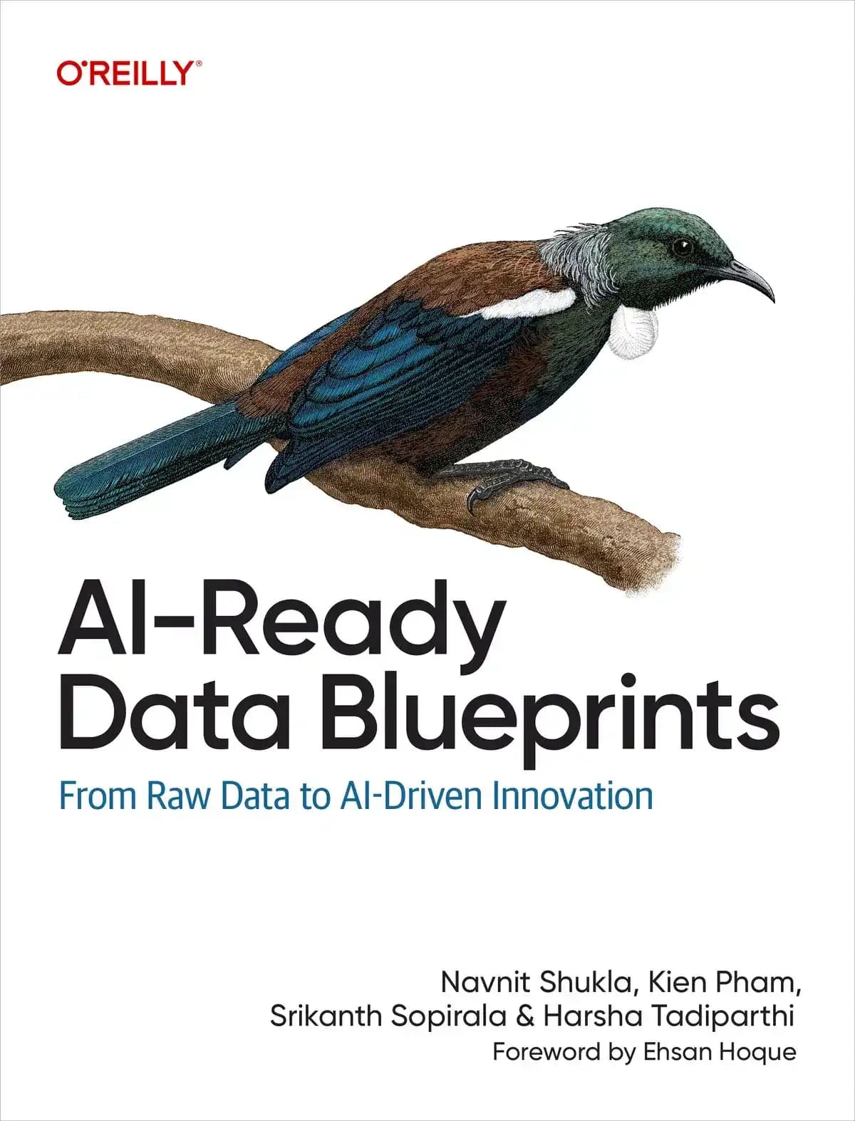 کتاب AI-Ready Data Blueprints