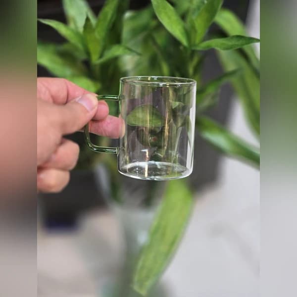 ماگ پیرکس دسته رنگی استوانه‌ای پک ۶ عددی ضدشوک و مقاوم در برابر حرارت