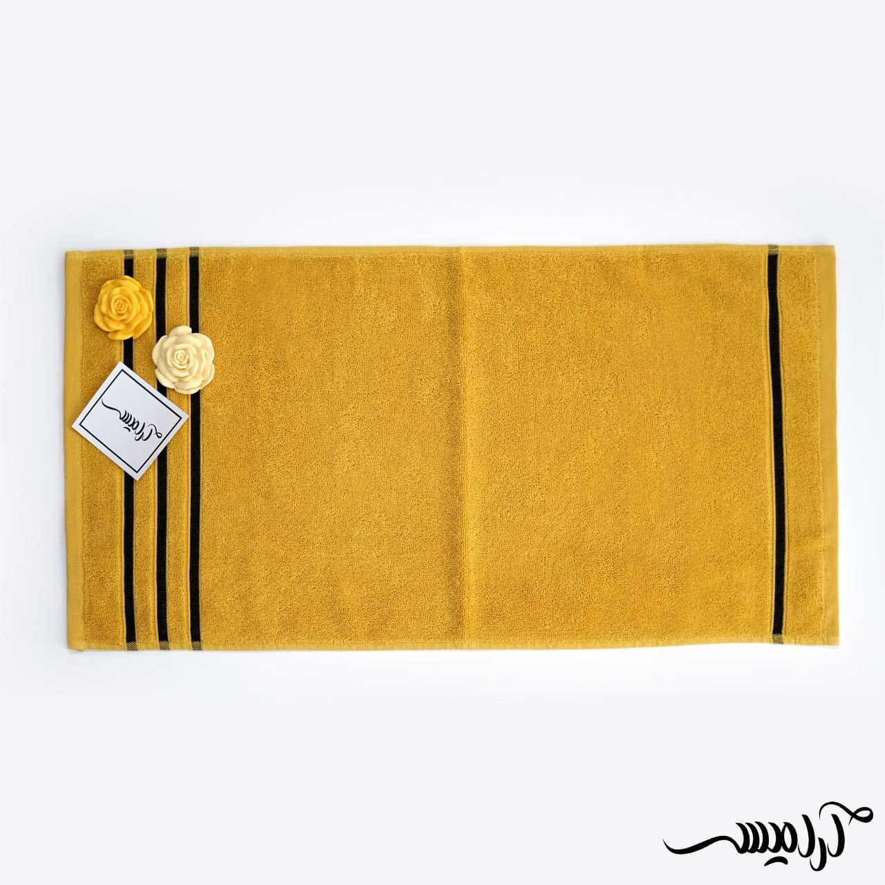 حوله استخری طرح کلاسیکو — تصویر ۸