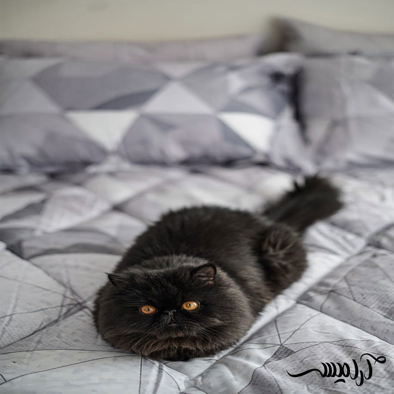 روتختی ست لحاف ساتین طرح کد 3006 — تصویر ۶