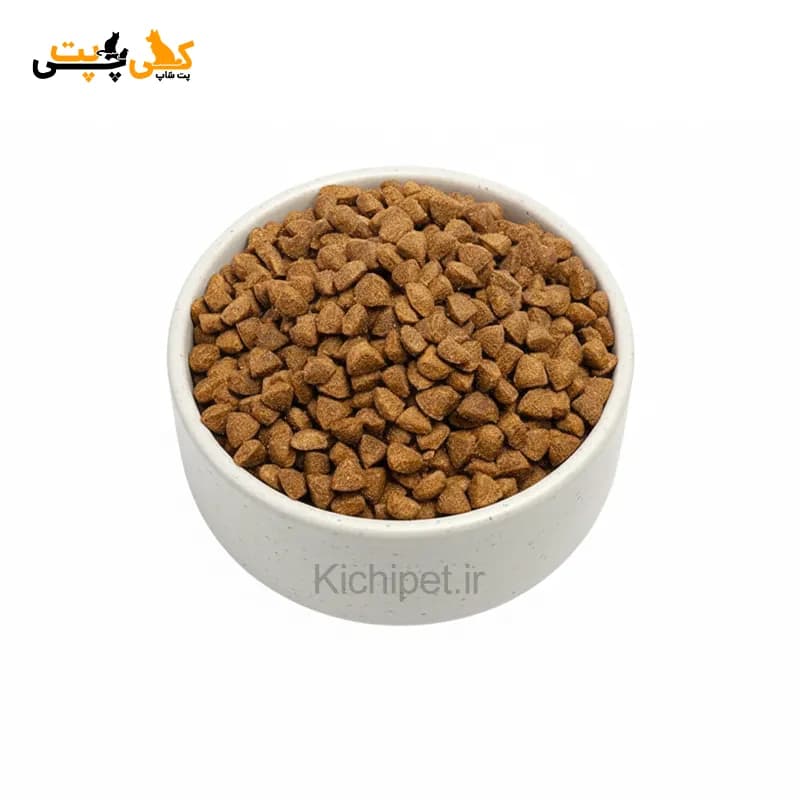 غذای گربه بالغ فیدار Fidar – وزن 10 کیلوگرم — تصویر ۳