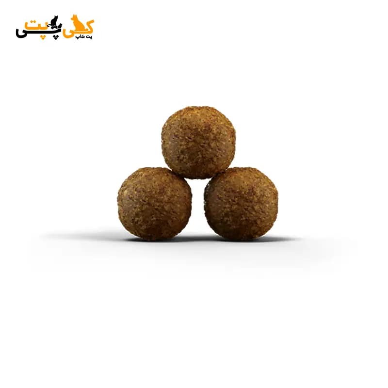 غذای خشک گربه رنال جوسرا Josera Renal – وزن 2 کیلوگرم — تصویر ۳