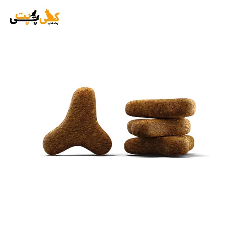 غذای خشک گربه جوسرا یورینری Josera Urinary – وزن 2 کیلوگرم — تصویر ۳