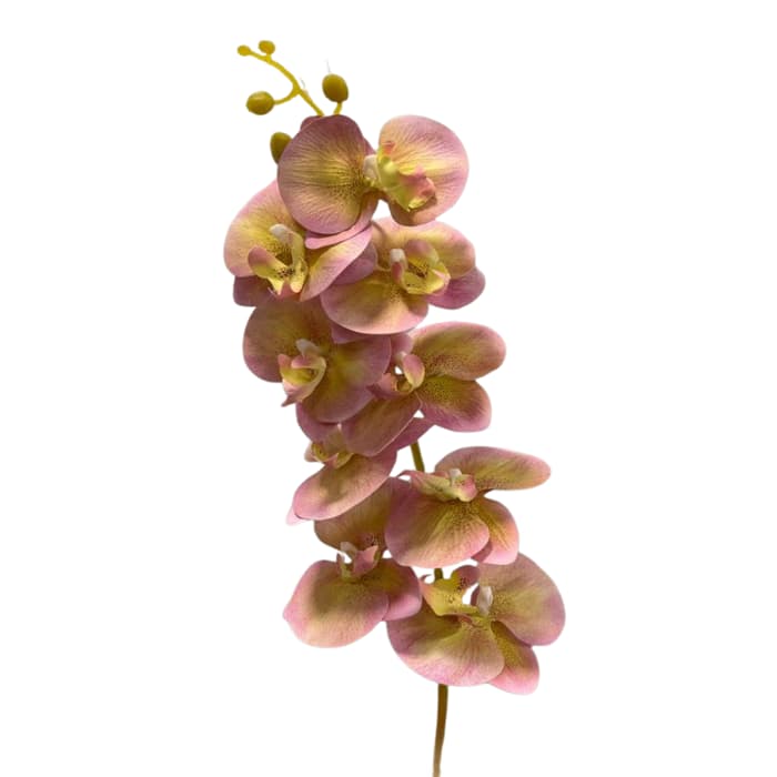 شاخه ارکیده ابلق مصنوعی