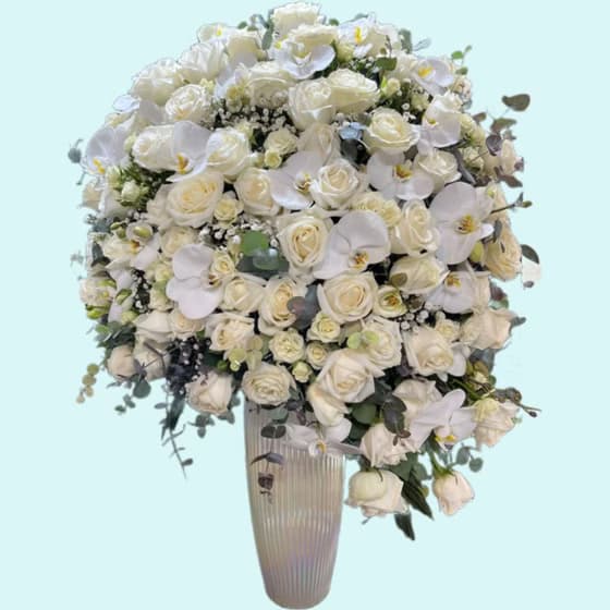 جام گل بله برون 359