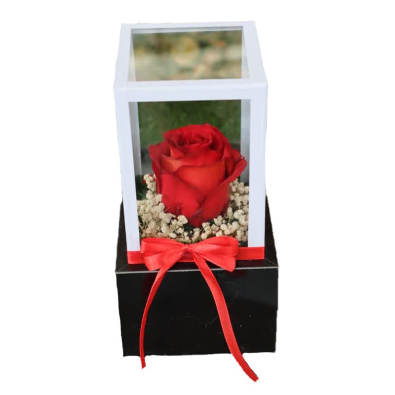 رز جاودان لاکچری