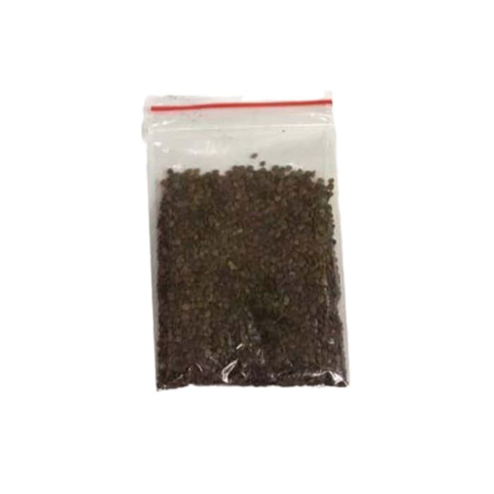 بذر چمن آکواریوم ( مونت کارلو )